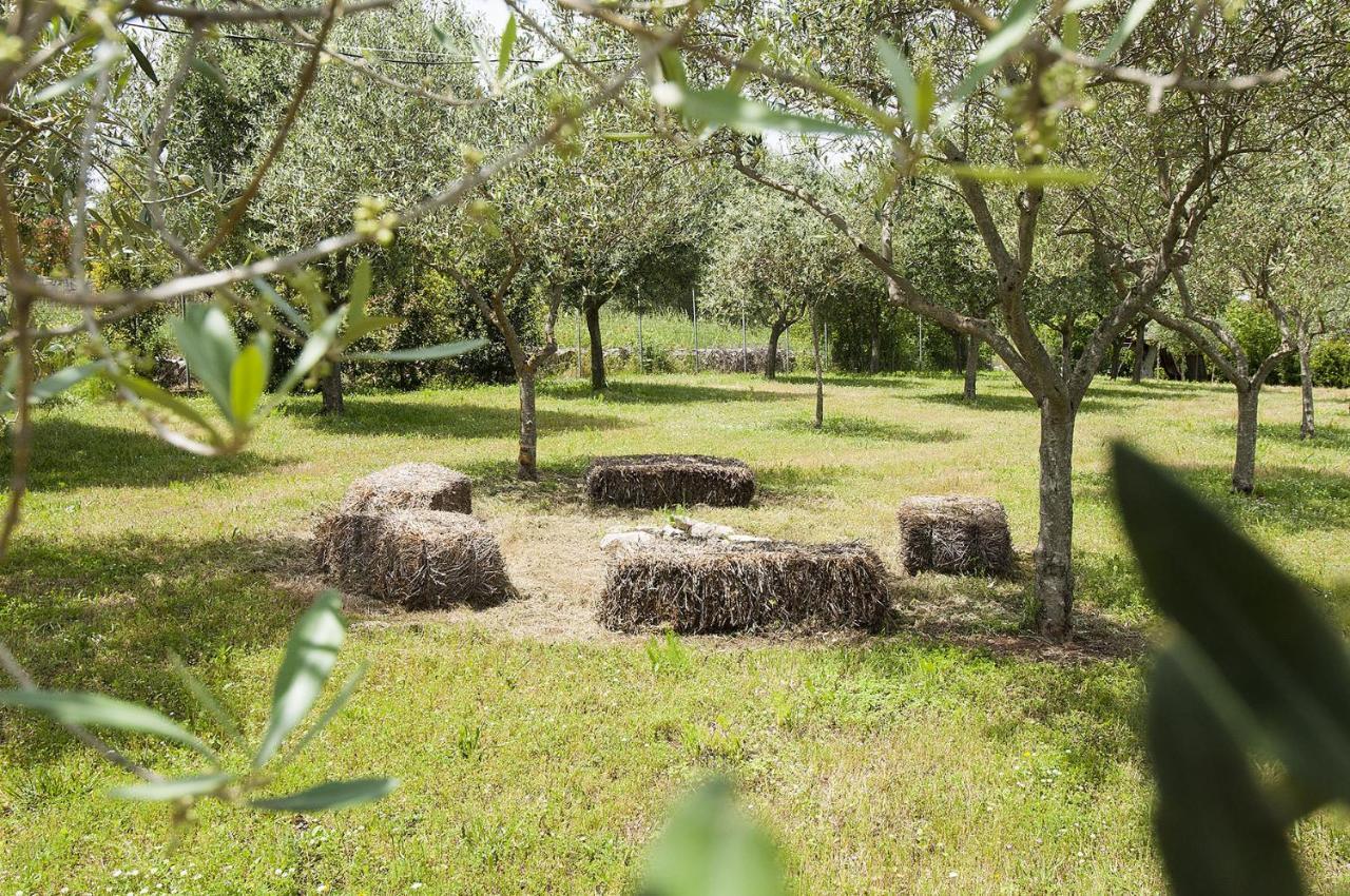 B&B Trulli Valle D'Itria Мартина-Франка Экстерьер фото