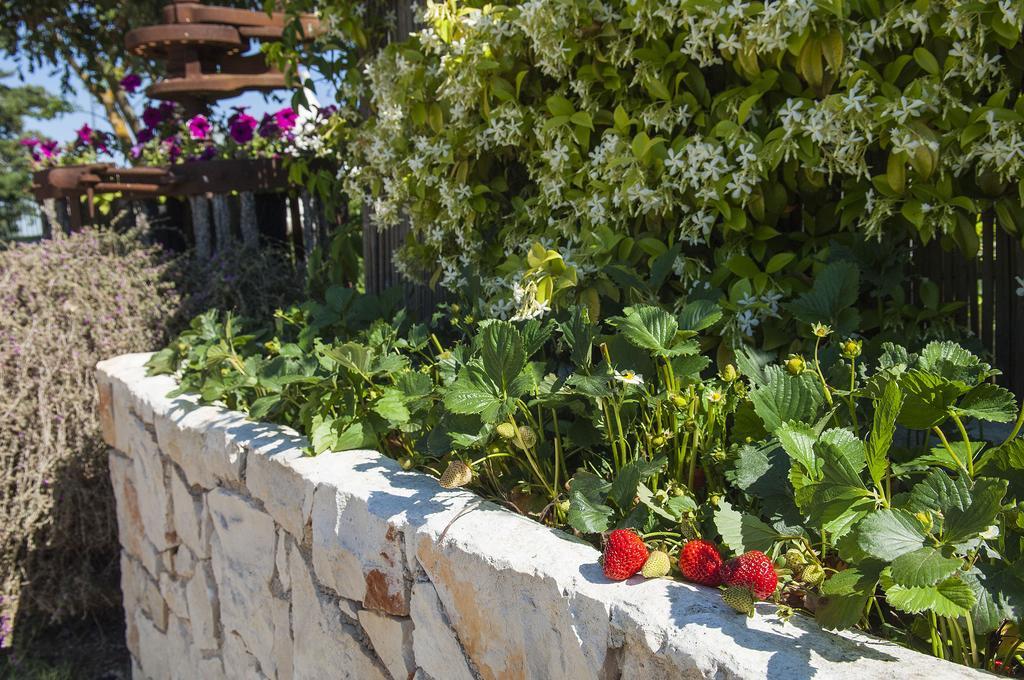 B&B Trulli Valle D'Itria Мартина-Франка Экстерьер фото